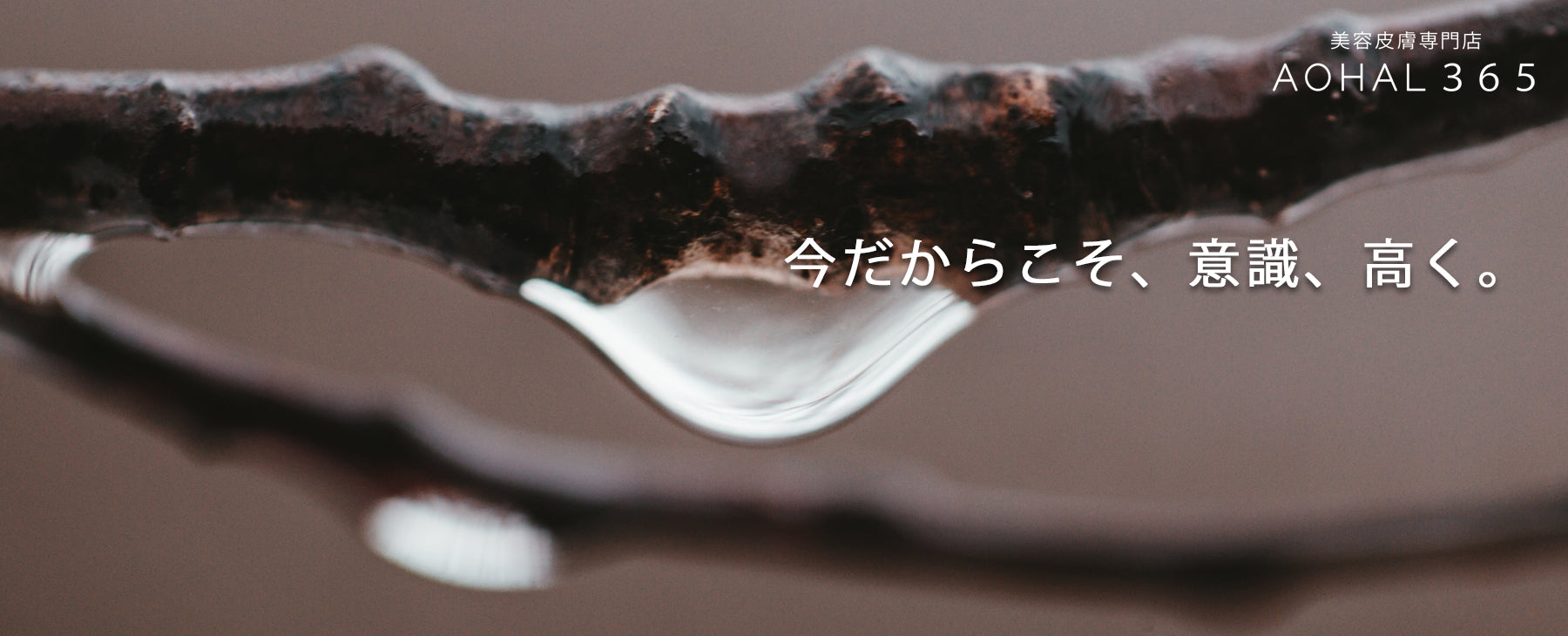 保湿の真髄、それは《エモリエント》なんです