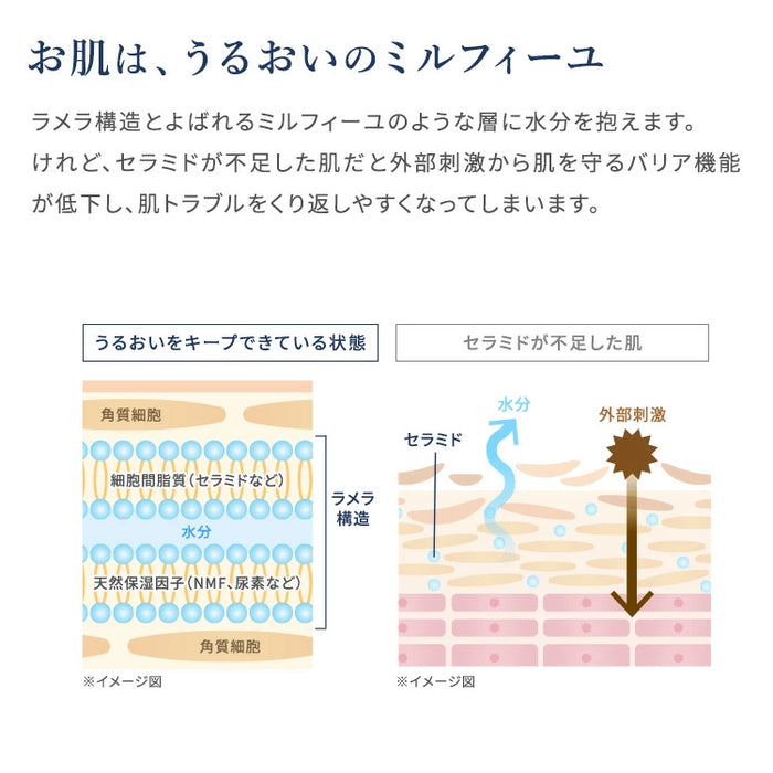 アオハル モイスチャー クリーム AOHAL Moisture Cream セラミドクリーム