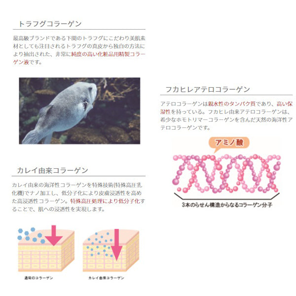 バストールブルー バストールアイシート 60枚入り